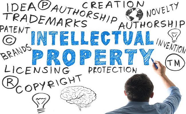 Intellectual Property Rights Law