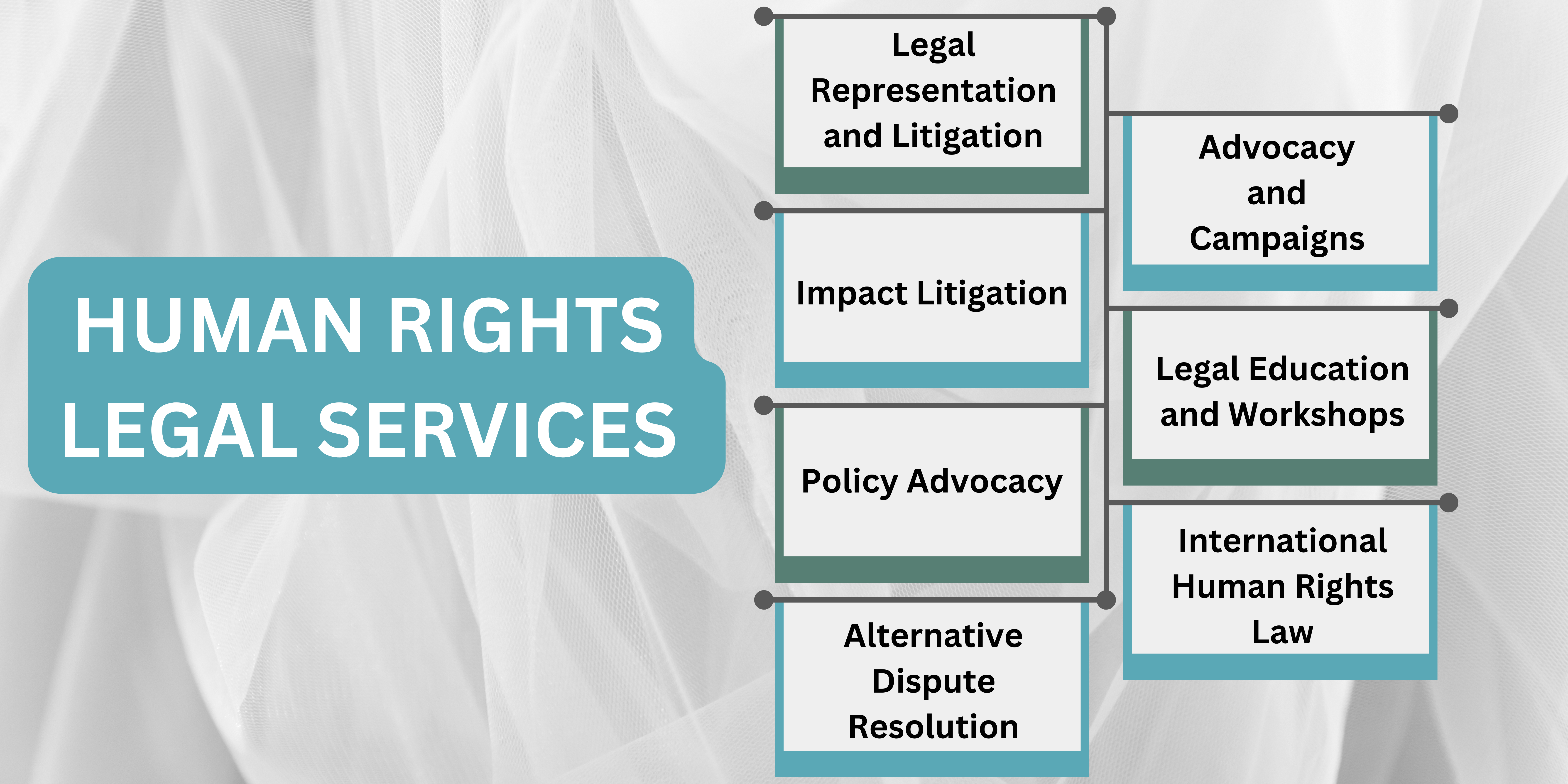 Human Rights Legal Services